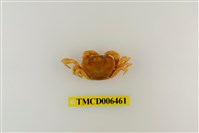 藏品(大里澤蟹)的圖片